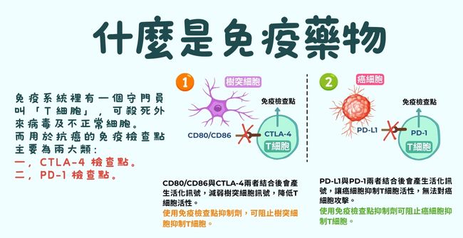 ALL_news_25L10_pOiO6VrNbe ALL_news_25L10_pOiO6VrNbe